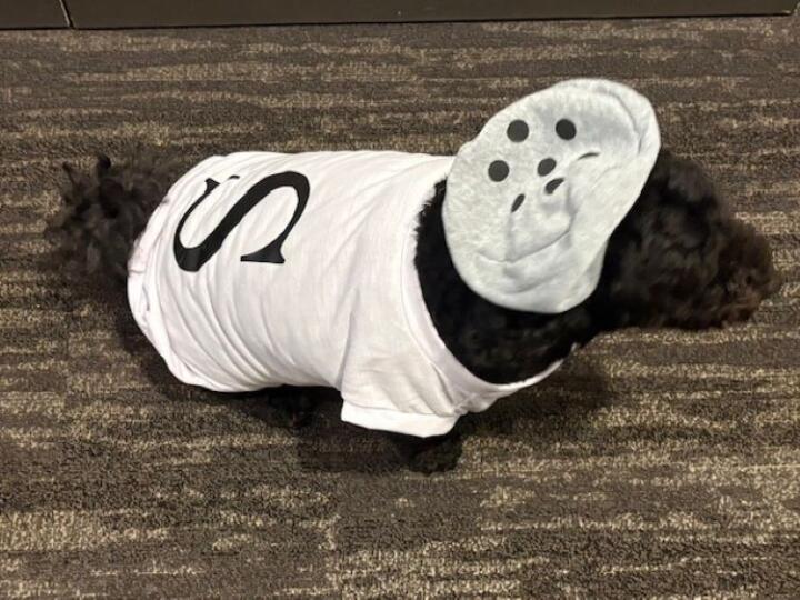 Mary-Ellen Betterton_pet z-as-salt